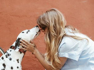 Animais de estimação podem agora entrar nos hospitais com seus tutores